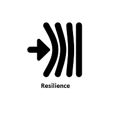 4 Resilience 225